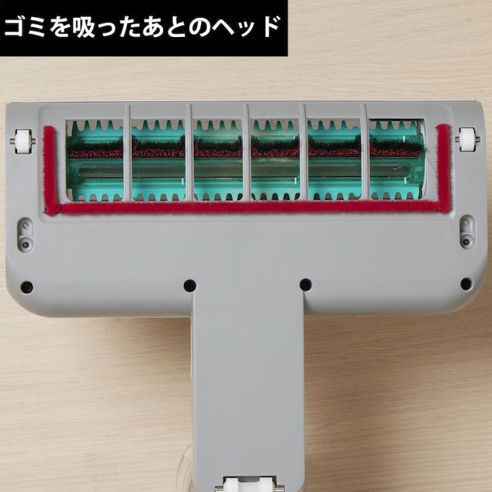 毛はやや絡むが容易に除去できる。フィルター・ダストケースは水洗い対応