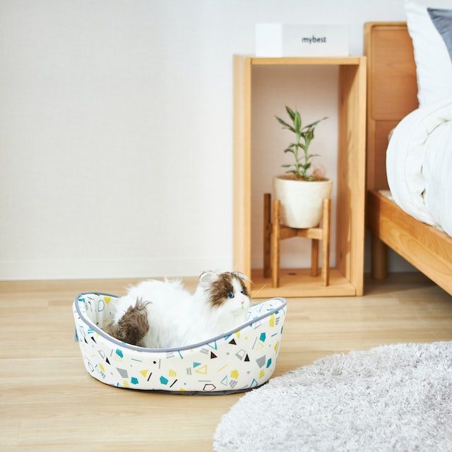アイリスオーヤマ ペット用クールベッド ゆりかご PCB-22Yをレビュー