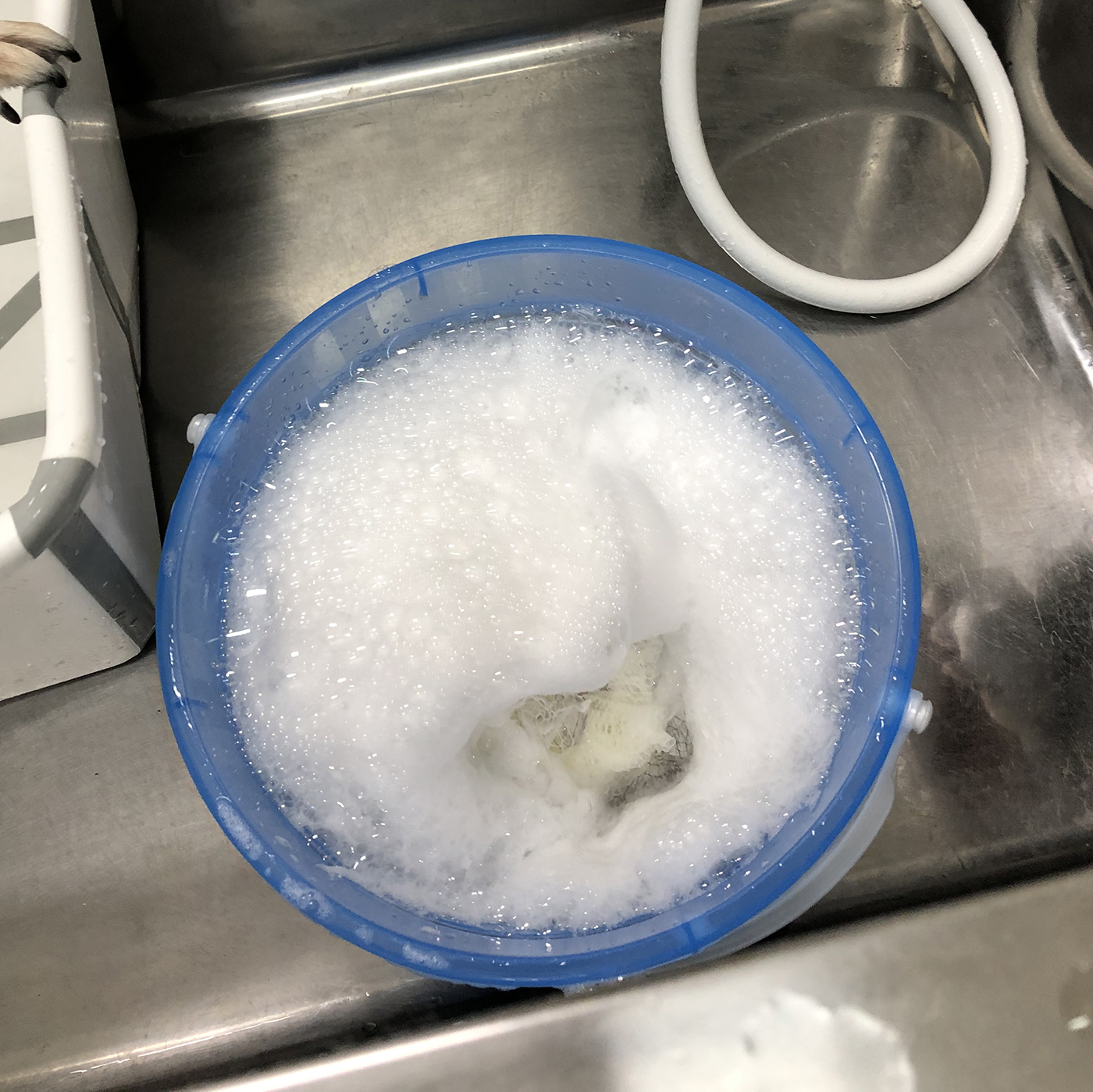 ペットエステ マッドシャンプー全犬種用を全17商品と比較！口コミや評判を実際に使ってレビューしました！ | mybest