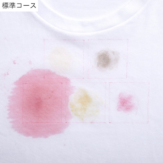 標準コースでは、卵・泥・口紅汚れは落とし切れない
