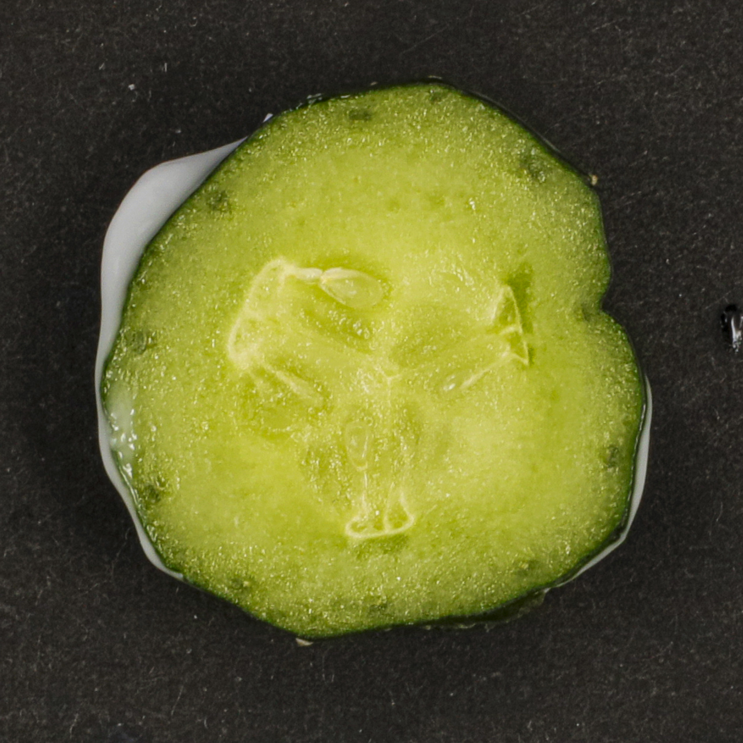 江原道 オールインワンを他商品と比較 口コミや評判を実際に使ってレビューしました Mybest