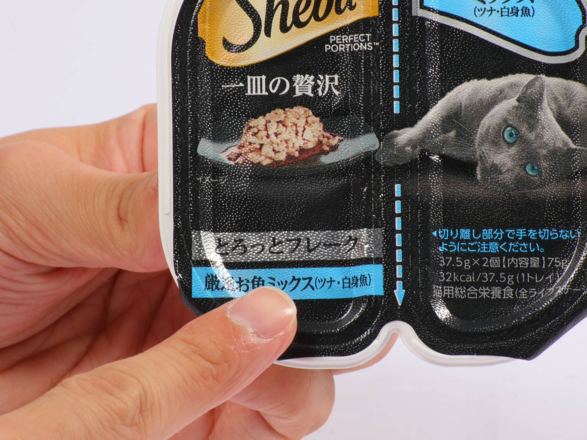 開店記念セール！ シーバ 一皿の贅沢 しっとりテリーヌ 6個