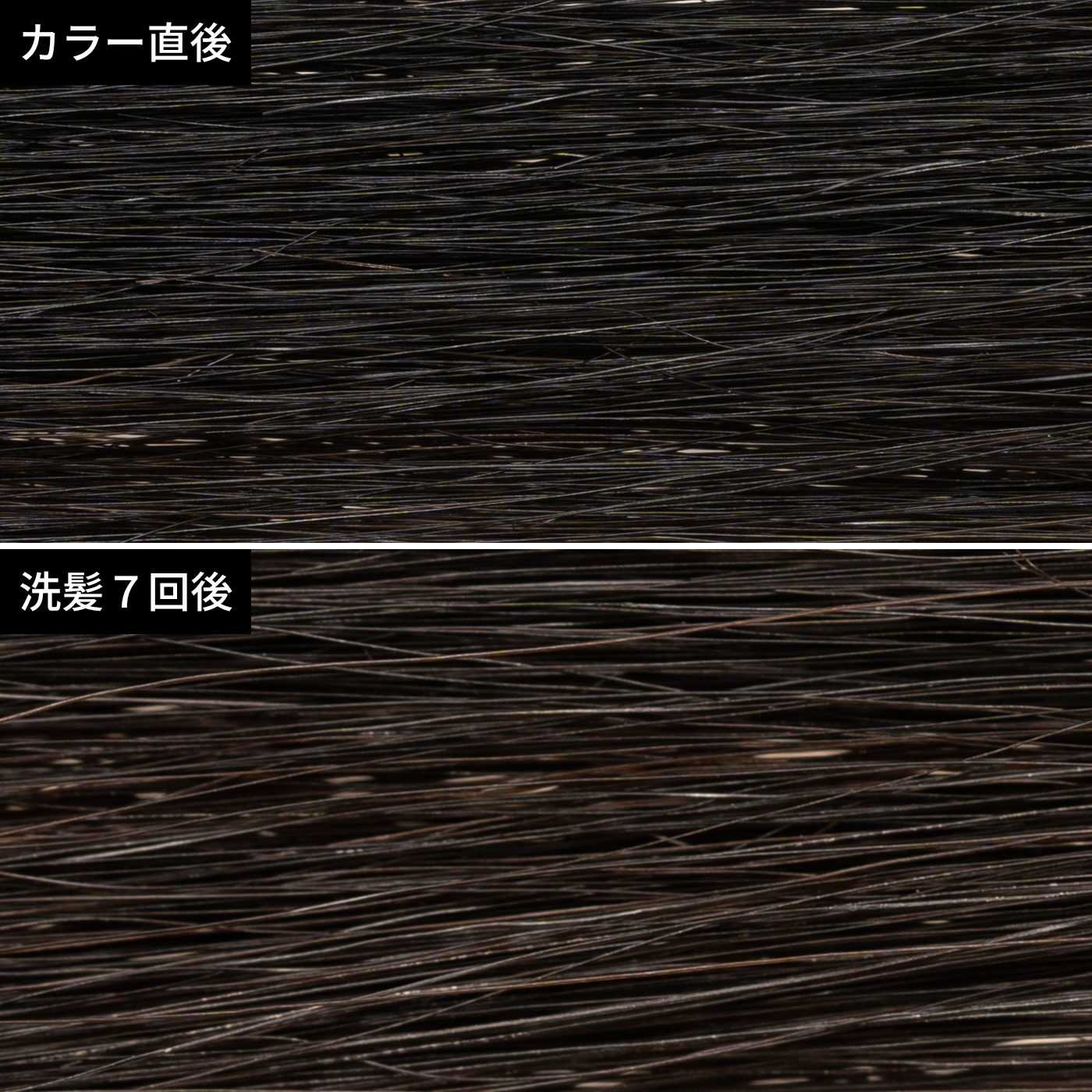 フレッシュライト ナチュラルブラックを全9商品と比較 口コミや評判を実際に使ってレビューしました Mybest