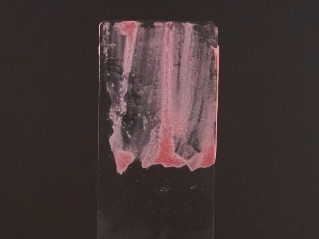 アブリーゼ ナチュラルオーガニック シャンプー Crを全21商品と比較 口コミや評判を実際に使ってレビューしました Mybest