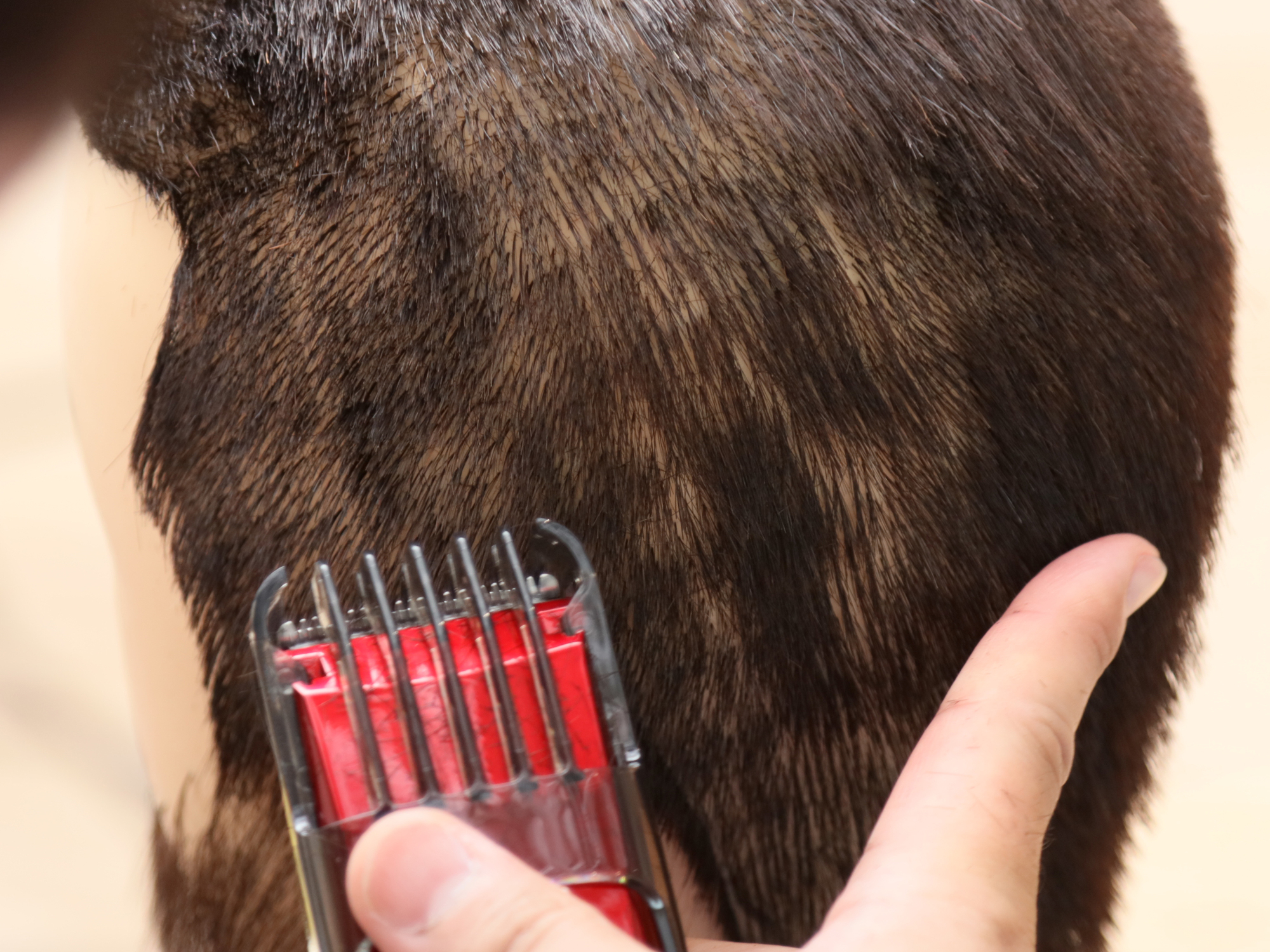 マクセルイズミ ヘアーカッター Hc Fw28を全15商品と比較 口コミや評判を実際に使ってレビューしました Mybest