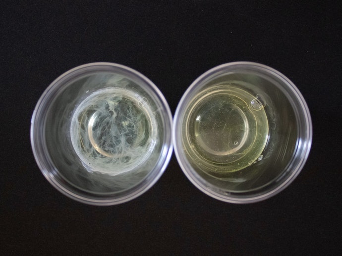 オクト 薬用シャンプーを全27商品と比較 口コミや評判を実際に使ってレビューしました Mybest