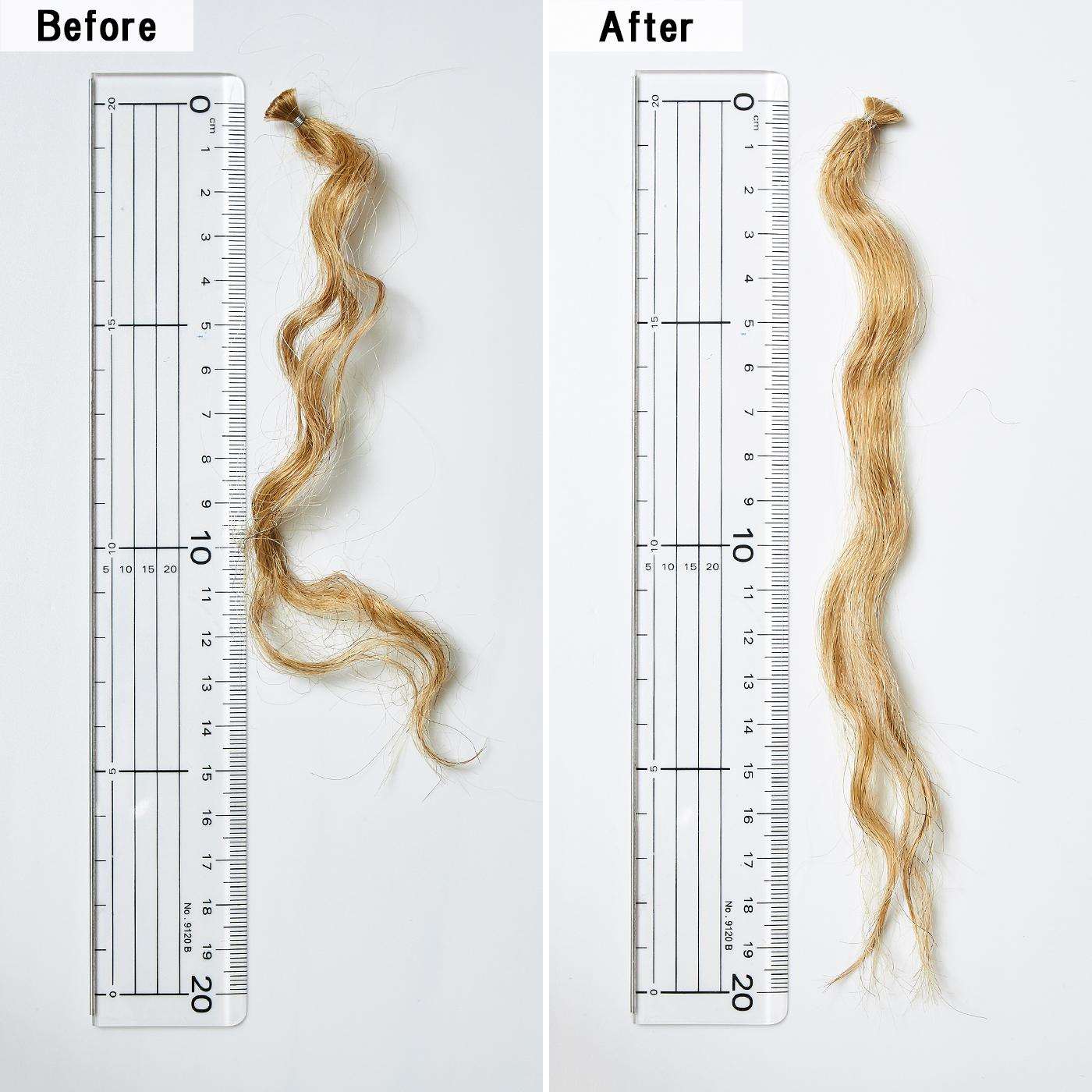 サンコール R 21シャンプーを他商品と比較 口コミや評判を実際に使ってレビューしました Mybest