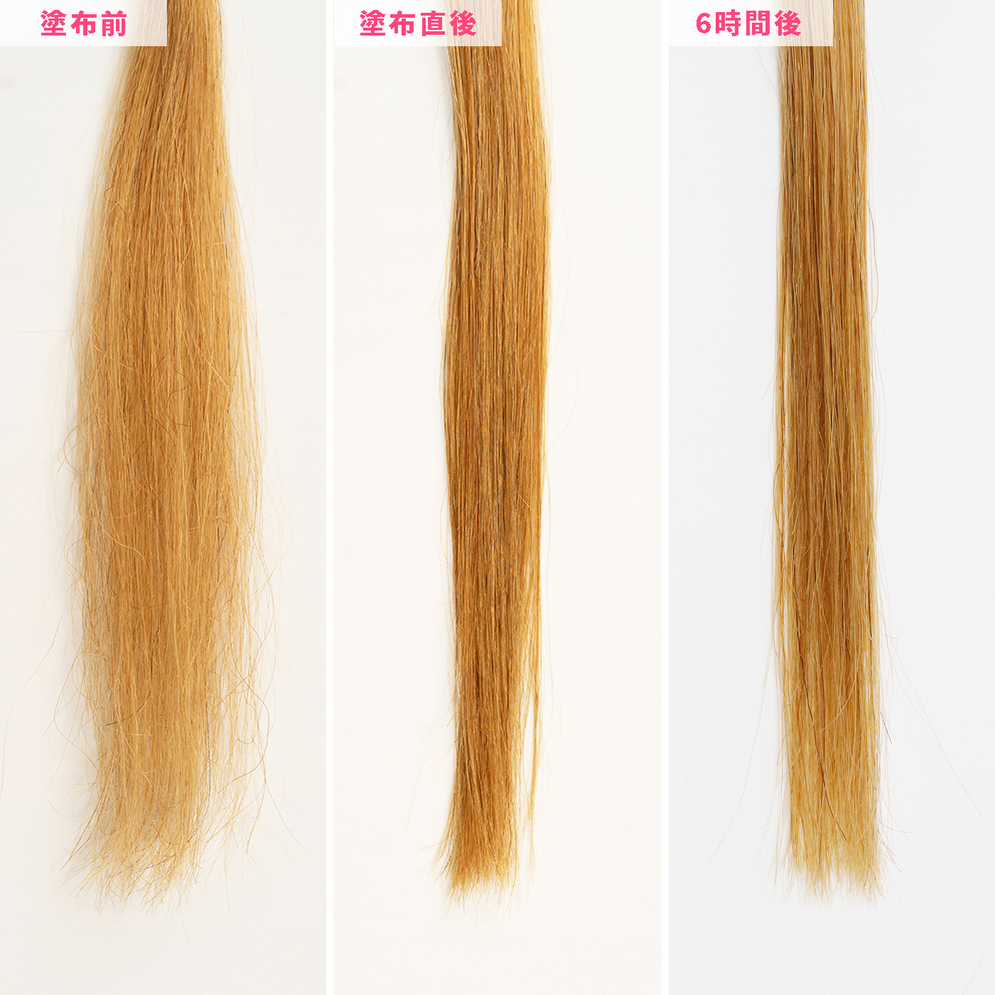 イソップ ヘアオイル25を他商品と比較 口コミや評判を実際に使ってレビューしました Mybest