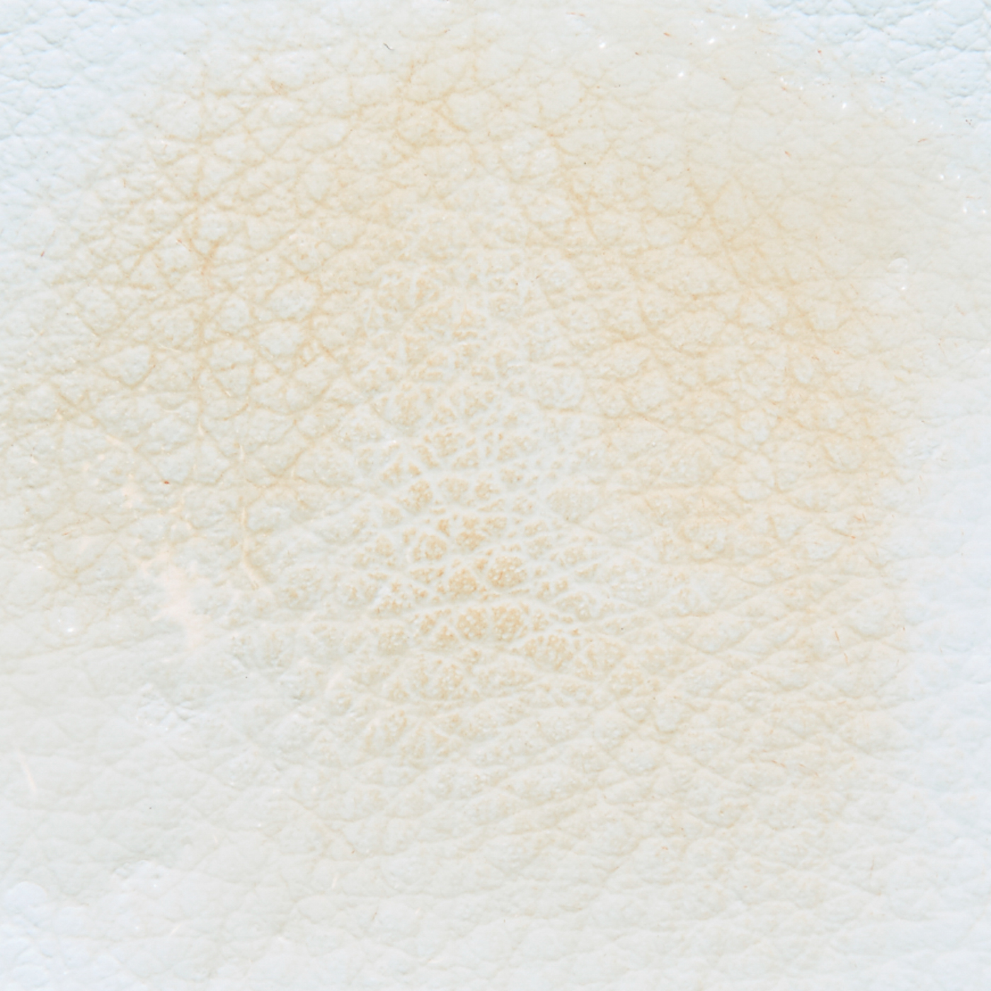 レイチェルワイン ミネラルファンデーションを他商品と比較 口コミや評判を実際に使ってレビューしました Mybest