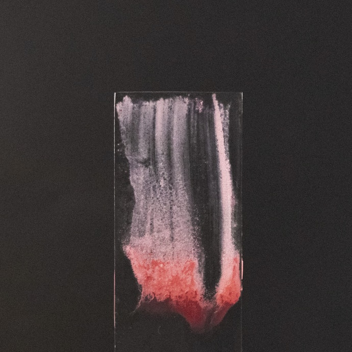 メリット ピュアン スウィート チャーミングを全19商品と比較 口コミや評判を実際に使ってレビューしました Mybest