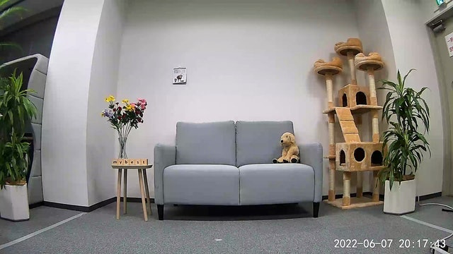 256万画素の高解像度。明所の画質はバッチリ