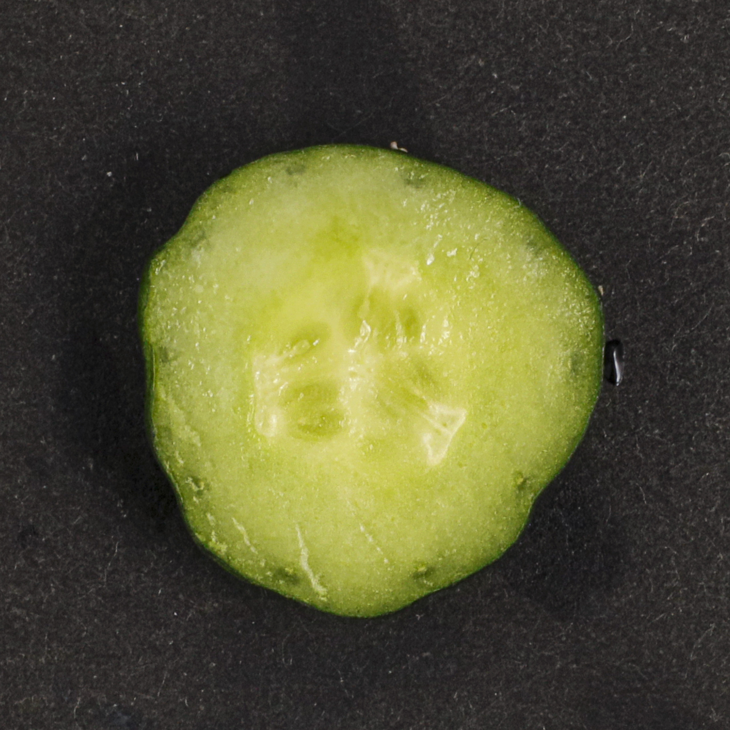 肌ラボ 濃極潤パーフェクトゲルを全67商品と比較 口コミや評判を実際に使ってレビューしました Mybest