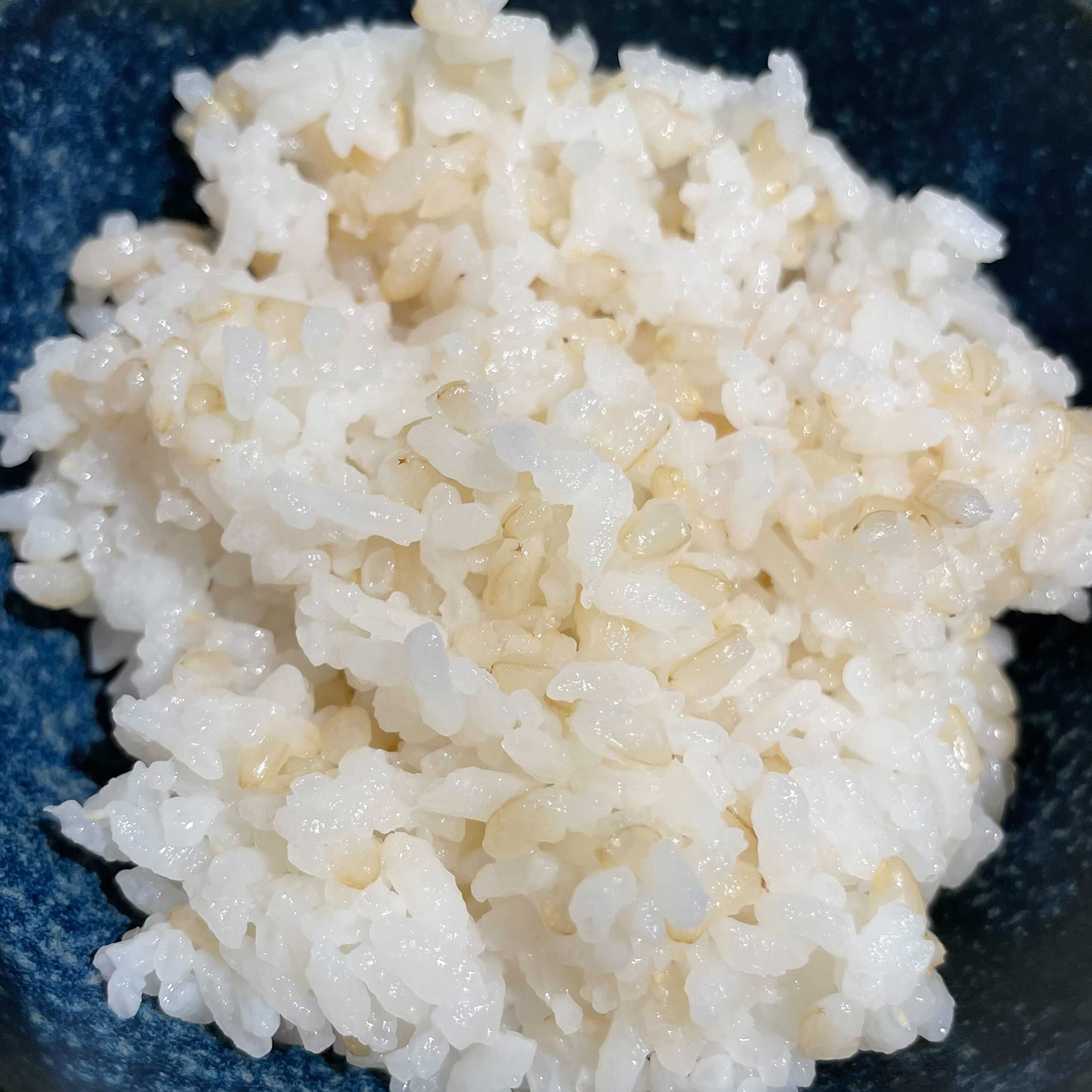 あきたこまち発芽玄米 無洗米を全12商品と比較！口コミや評判を実際に試食してレビューしました！ | mybest