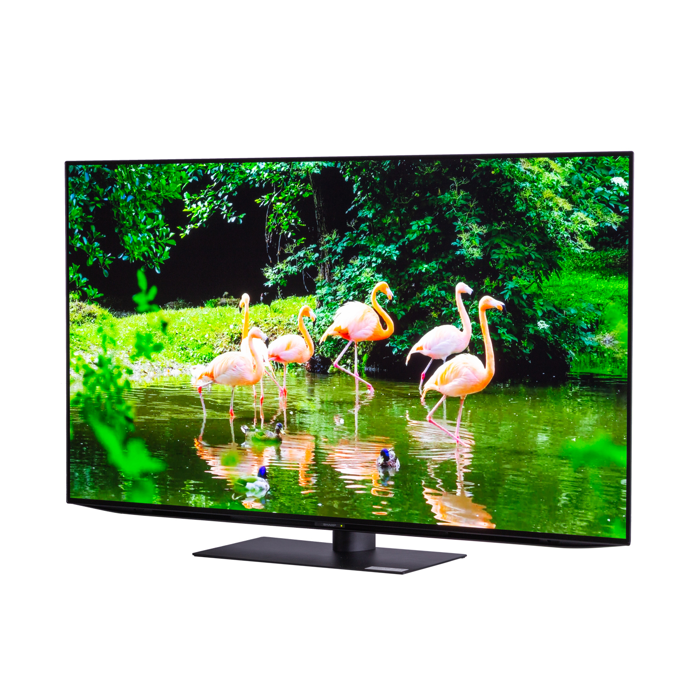 Sharp 4k有機elテレビ Aquos Mybest