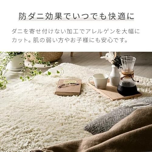 シャギーラグ 6