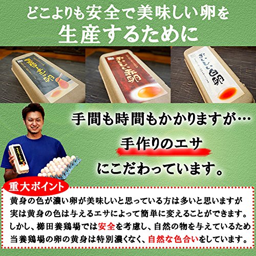 名古屋コーチンの卵 8