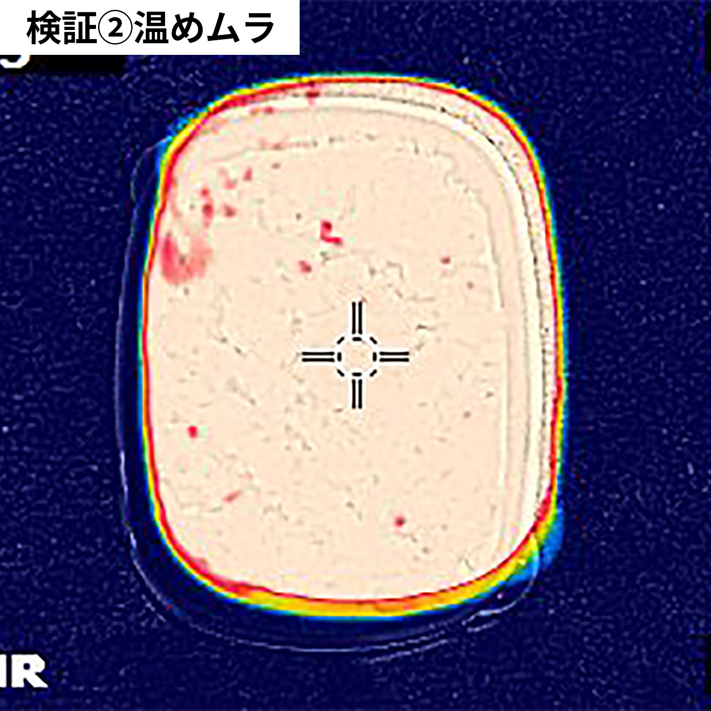 ごはん冷凍作りおき容器 7