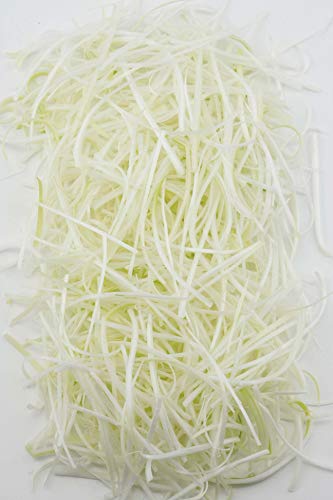 22年 ネギカッターのおすすめ人気ランキング選 Mybest