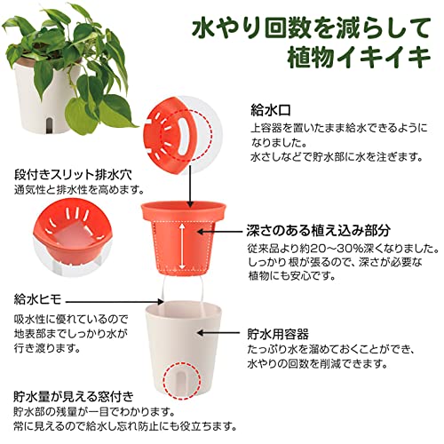ミエルノPlus ポット 3