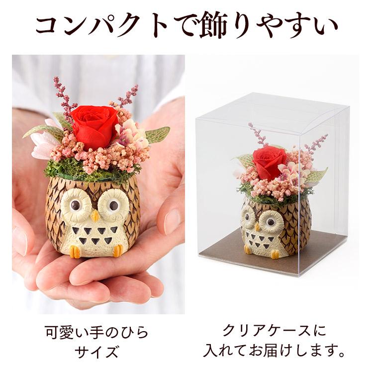 動物プリザとカステラ MDPE 14
