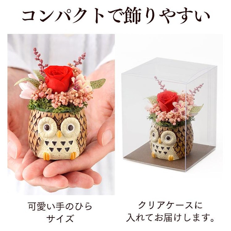 動物プリザとカステラ MDPE 14