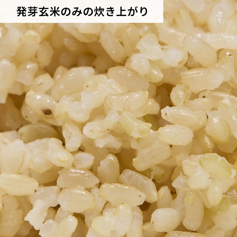 発芽玄米 6