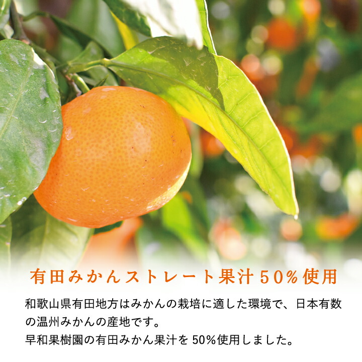 もっちり有田みかんゼリー 4