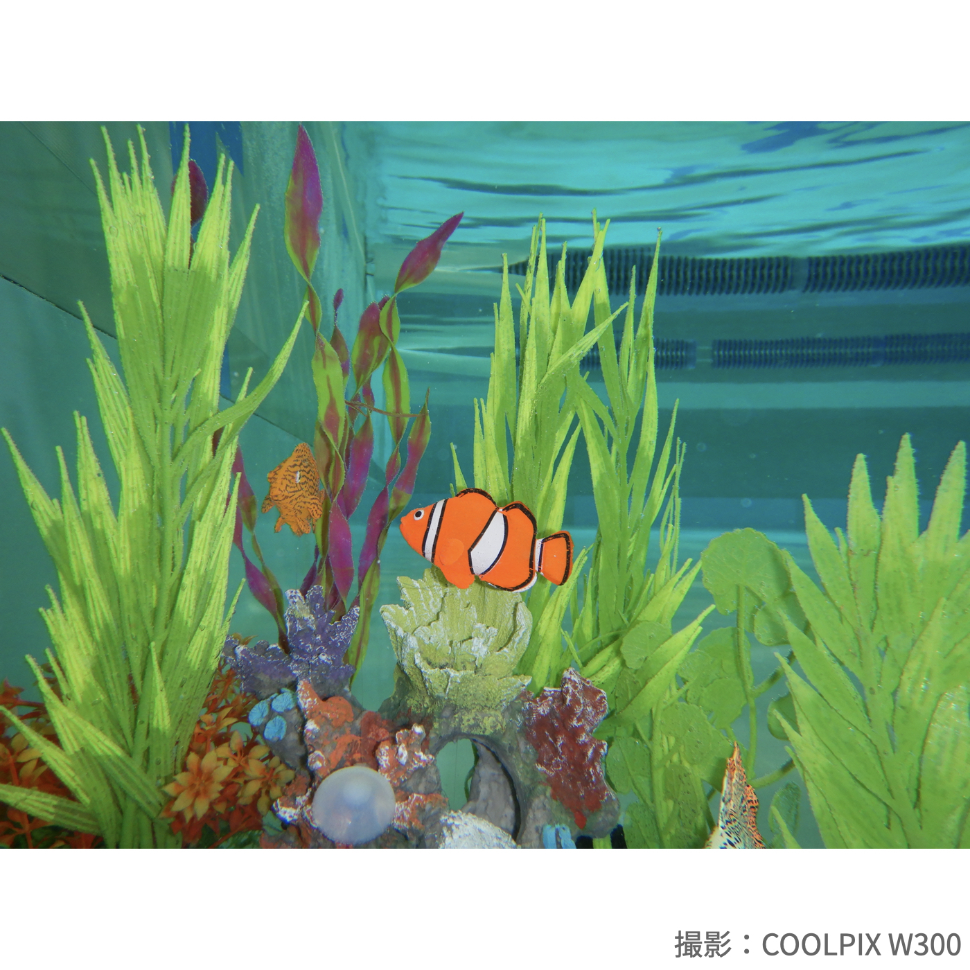 COOLPIX W300 7