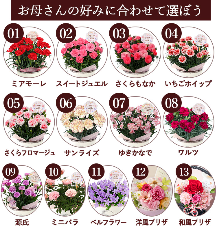 自由に選べる花&スイーツ 2