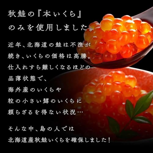 北海道斜里産 塩いくら 2