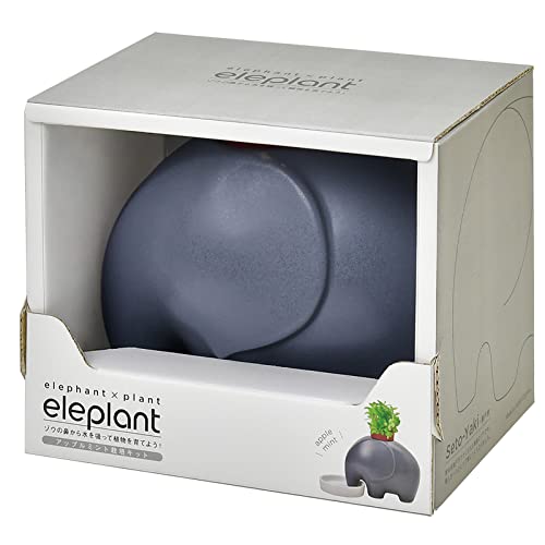 エレプラント アップルミント 1