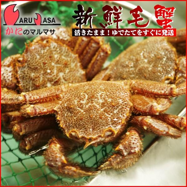 活毛がに 2