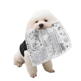 音が鳴る犬用おもちゃのおすすめ人気ランキング【2026年10月】 5