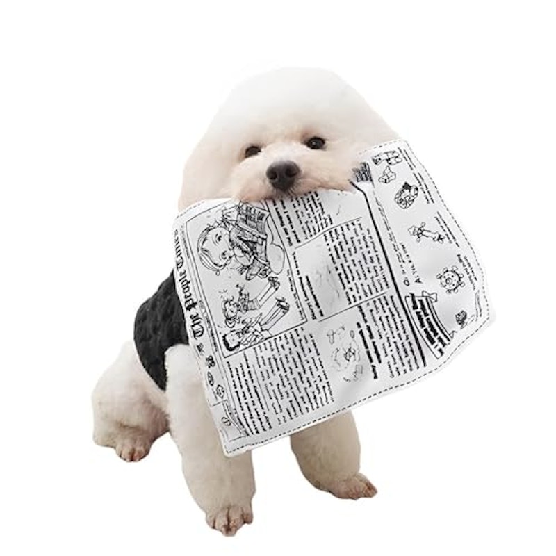 犬専用新聞おもちゃ 1