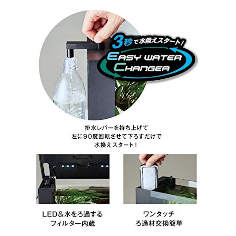 ラクテリア 3
