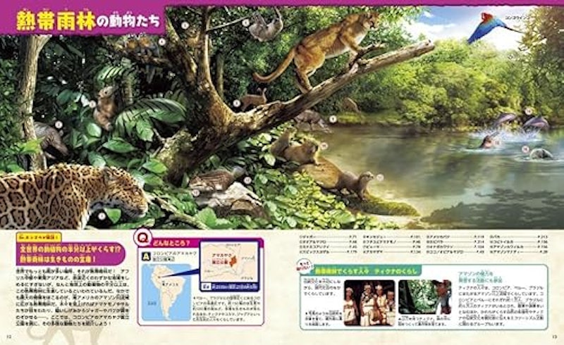 動物 新訂二版 5