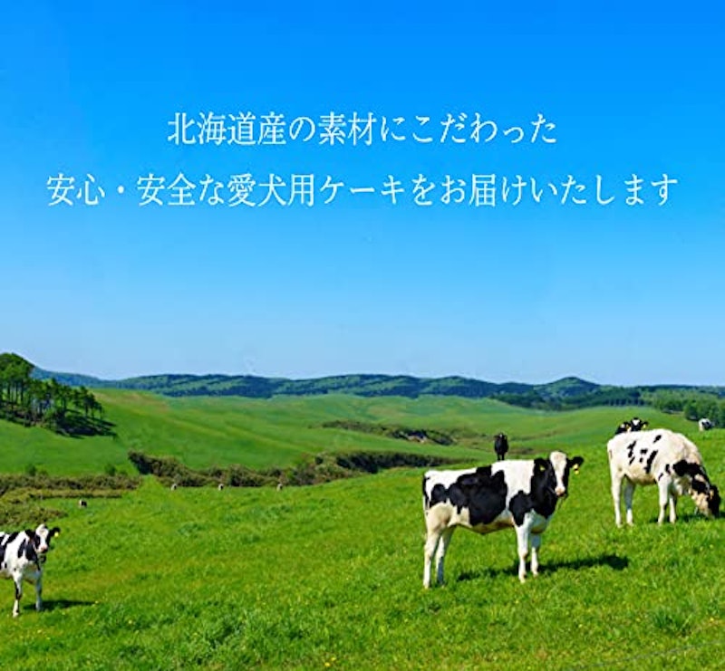 犬用ケーキ 2