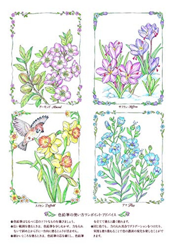 詩篇と共に楽しむ大人の塗り絵 4