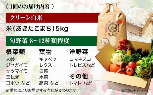 クリーン白米+旬のお野菜  定期便 6
