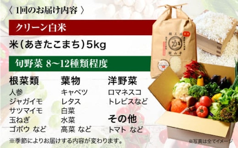クリーン白米+旬のお野菜 定期便 6