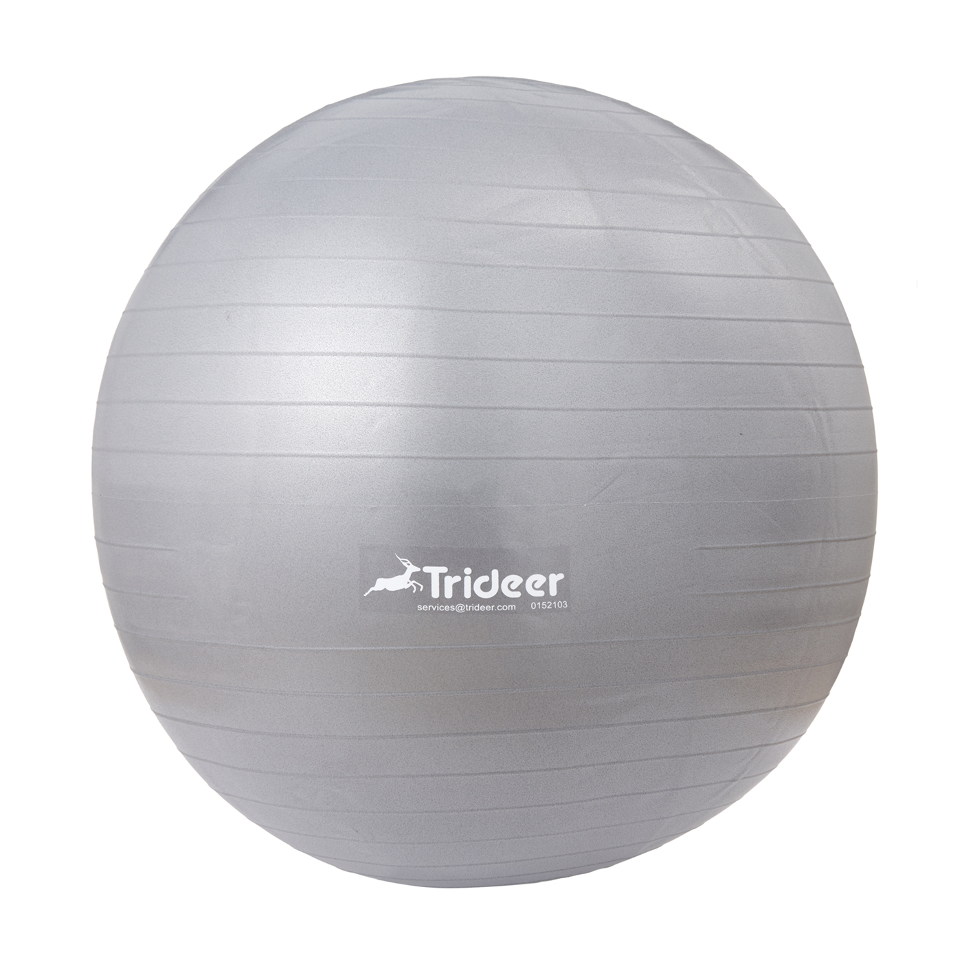 ギムニク (GYMNIC) フィットボール 65 バランスボール Fit Ball 65cm