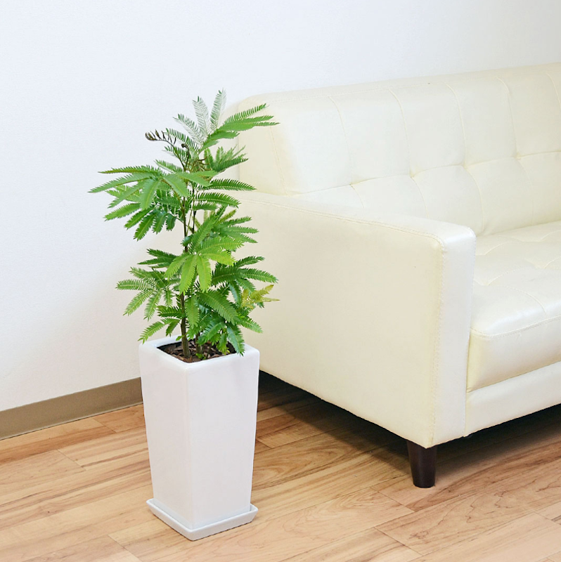 エバーフレッシュ スクエア陶器鉢植え 1