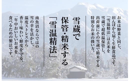 南魚沼産こしひかり 定期便 4