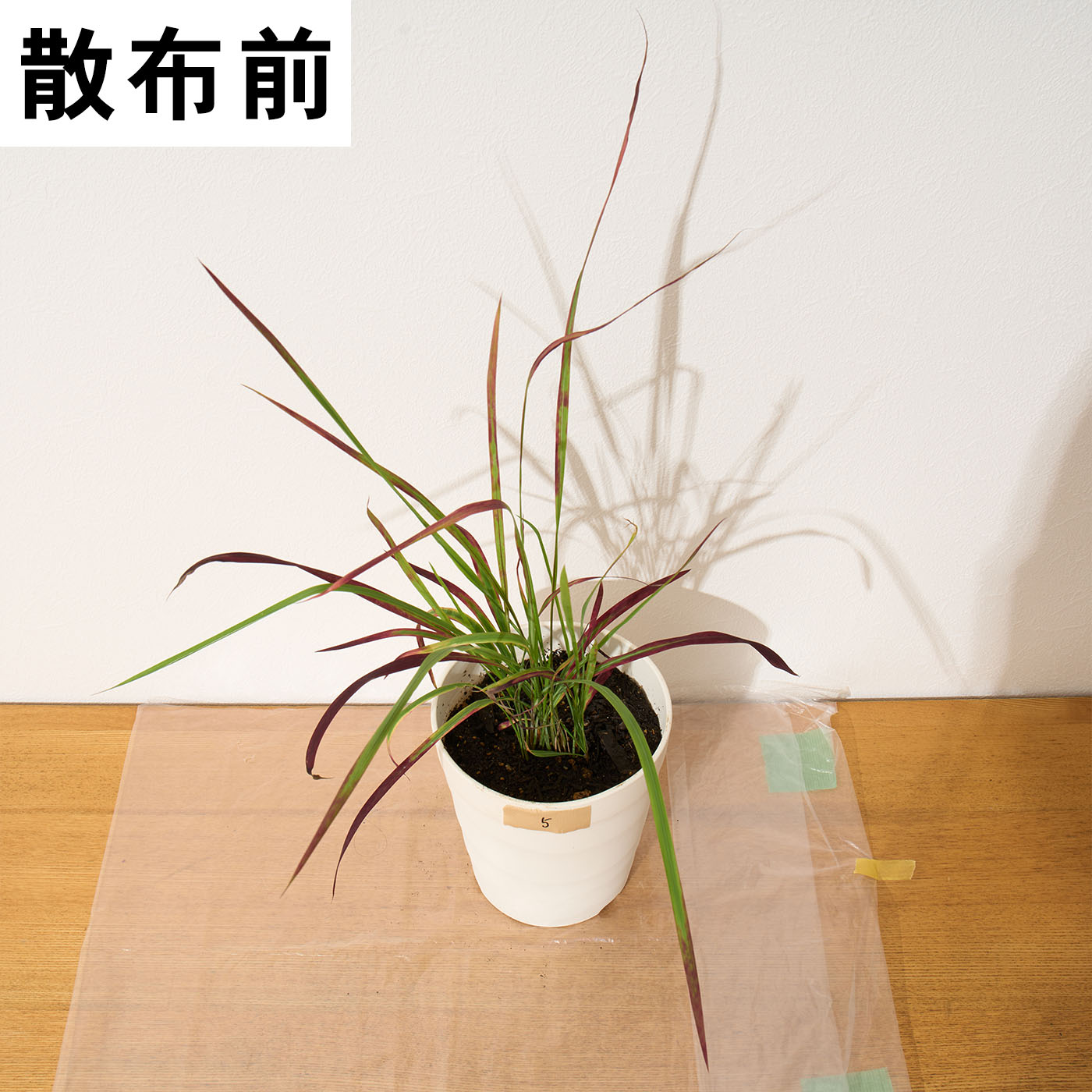 一刀両断 13