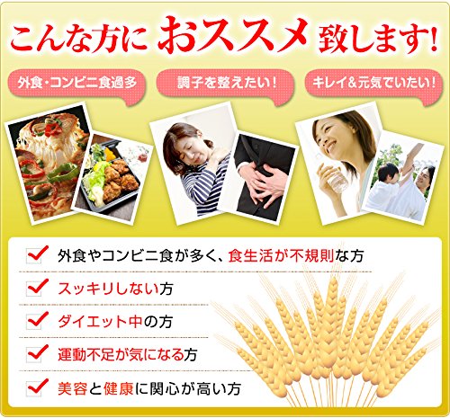 国産 ビール酵母 粉末 4
