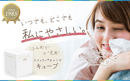 スコッティ カシミヤ キューブ 2
