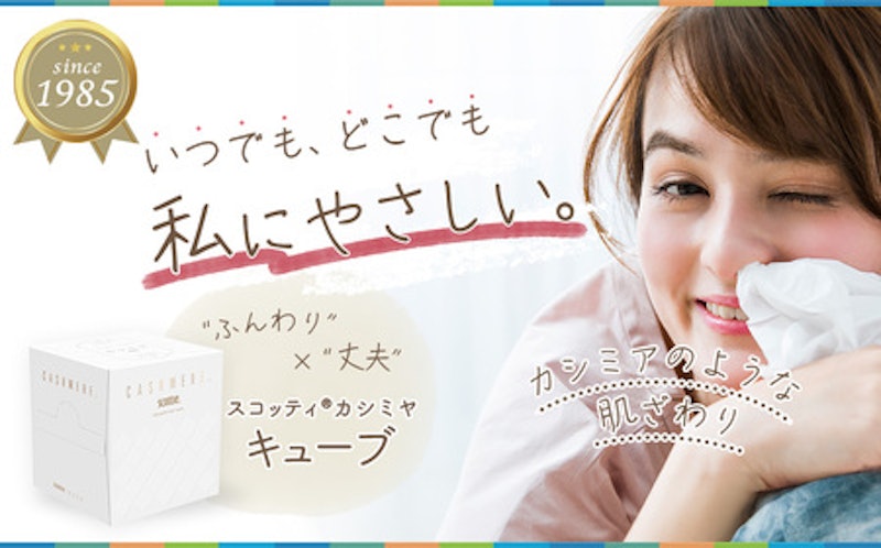 スコッティ カシミヤ キューブ 2