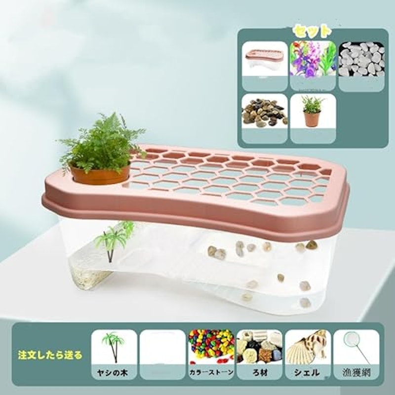 カメ用水槽 2