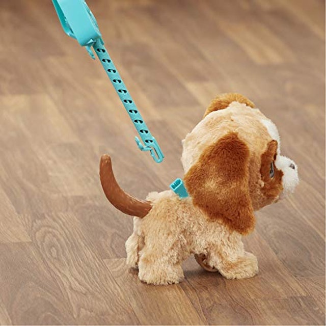 葉を拾う これら 流産 おもちゃ 犬 動く Signup Rent Jp 葉を拾う これら 流産 おもちゃ 犬 動く Signup Rent Jp