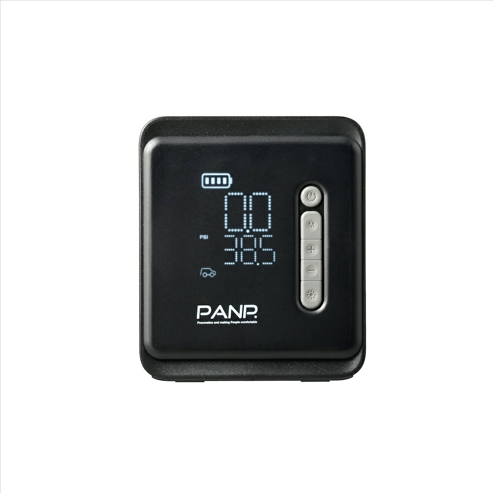 PANP RIDE PRO 1